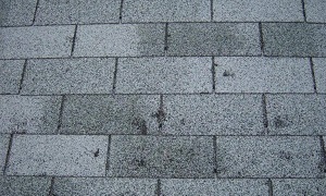 hail-damaged-shingles-boise-roof-repair1.jpg